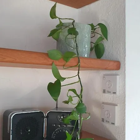 Mansarda Laurent Apartment *